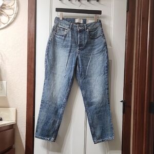 NWT Everlane The Curvy 90's Straight Leg